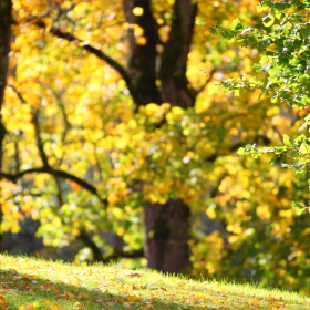 20121007_Sigulda